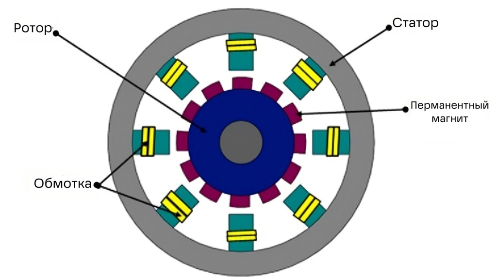 scale_2400 (9).jpg