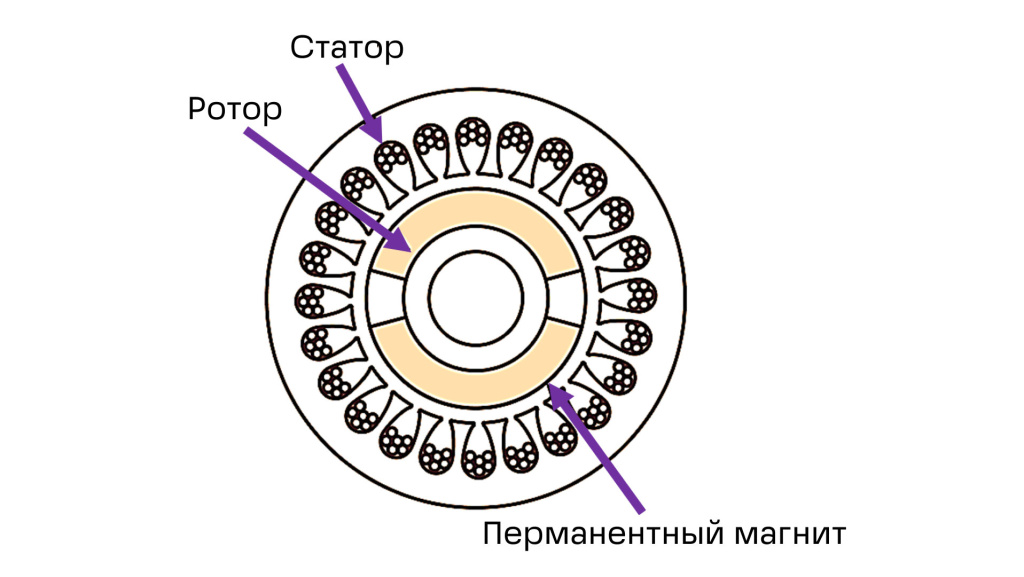 scale_2400 (7).jpg