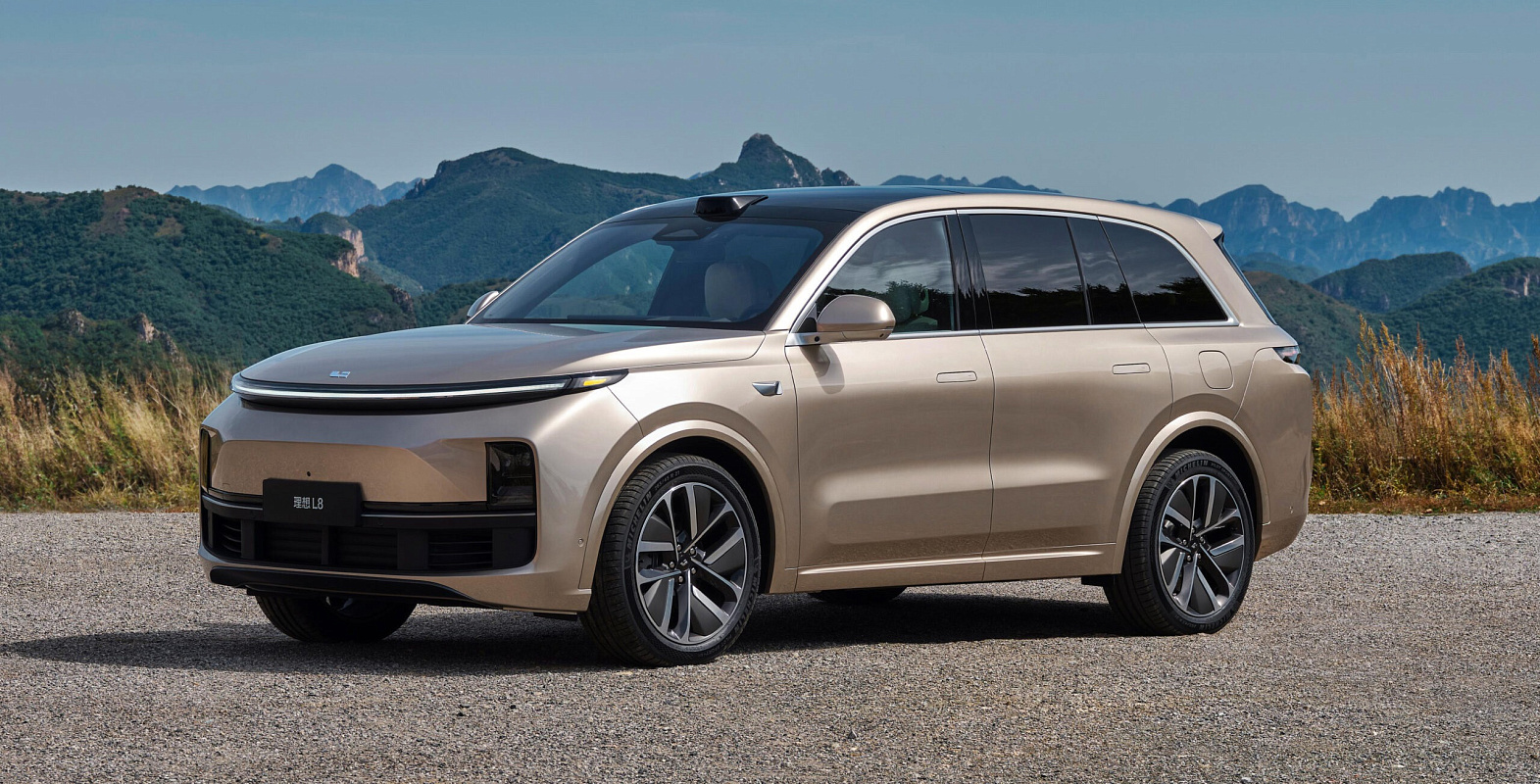 Li9 кроссовер с доставкой от electrocars.ru